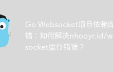 Go Websocket项目依赖库报错：如何解决nhooyr.id/websocket运行错误？