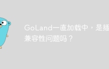 GoLand一直加载中，是插件兼容性问题吗？