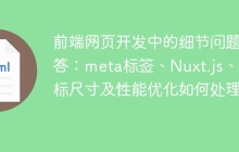 前端网页开发中的细节问题解答：meta标签、Nuxt.js、图标尺寸及性能优化如何处理？