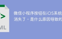微信小程序按钮在iOS系统上消失了，是什么原因导致的？