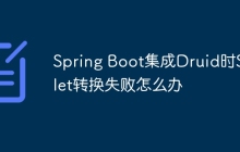 Spring Boot集成Druid时Servlet转换失败怎么办