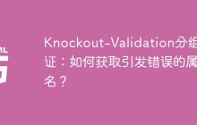 Knockout-Validation分组验证：如何获取引发错误的属性名？