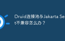 Druid连接池与Jakarta Servlet不兼容怎么办？