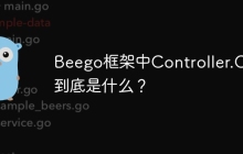 Beego框架中Controller.Ctx到底是什么？