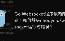 Go Websocket程序依赖库报错：如何解决nhooyr.id/websocket运行时错误？