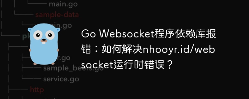 Go Websocket程序依赖库报错：如何解决nhooyr.id/websocket运行时错误？
