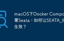 macOS下Docker Compose部署Seata，如何让SEATA_IP生效？