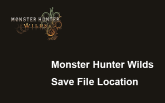 Monster Hunter Wilds 찾기 파일 위치 저장 및 데이터 백업 데이터