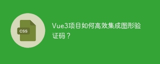 Vue3项目如何高效集成图形验证码？