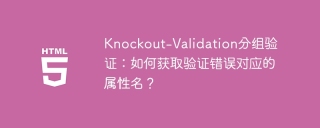 Knockout-Validation分组验证：如何获取验证错误对应的属性名？
