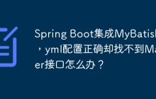 Spring Boot集成MyBatis时，yml配置正确却找不到Mapper接口怎么办？