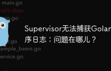 Supervisor无法捕获Golang程序日志：问题在哪儿？