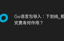 Go语言包导入：下划线_前缀究竟有何作用？
