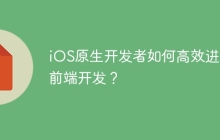 iOS原生开发者如何高效进阶前端开发？
