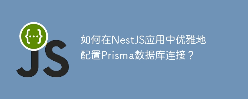 如何在nestjs应用中优雅地配置prisma数据库连接？
