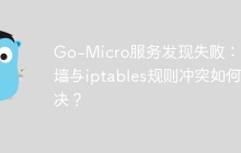 Go-Micro服务发现失败：防火墙与iptables规则冲突如何解决？