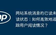 网站系统消息的已读未读状态：如何高效地追踪用户阅读情况？
