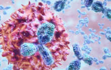 首个强化生成模型AbNovo实现多目标、多约束抗体从头设计，发表于ICLR 2025