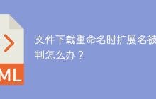 文件下载重命名时扩展名被误判怎么办？