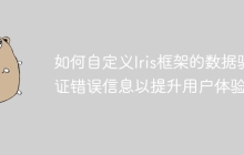 如何自定义Iris框架的数据验证错误信息以提升用户体验？