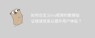 如何自定义Iris框架的数据验证错误信息以提升用户体验？