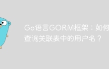 Go语言GORM框架：如何高效查询关联表中的用户名？