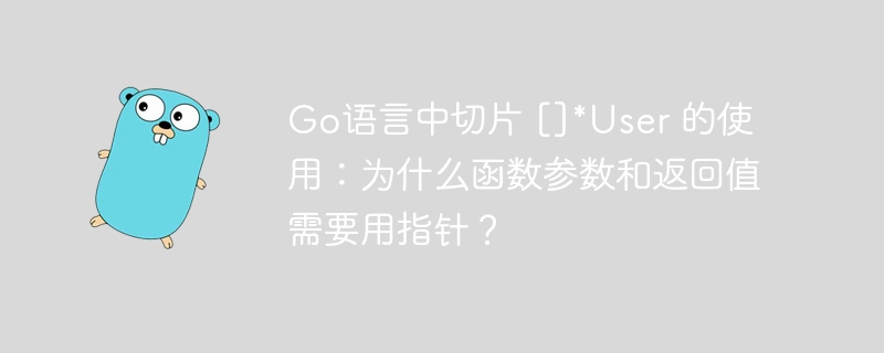go语言中切片 []*user 的使用：为什么函数参数和返回值需要用指针？