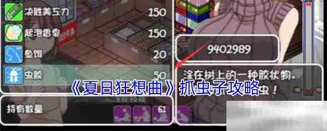 《夏日狂想曲》抓虫子攻略
