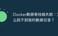Docker数据卷挂载失败：为什么找不到我的数据目录？