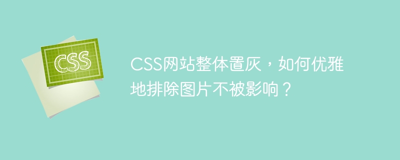 css网站整体置灰，如何优雅地排除图片不被影响？