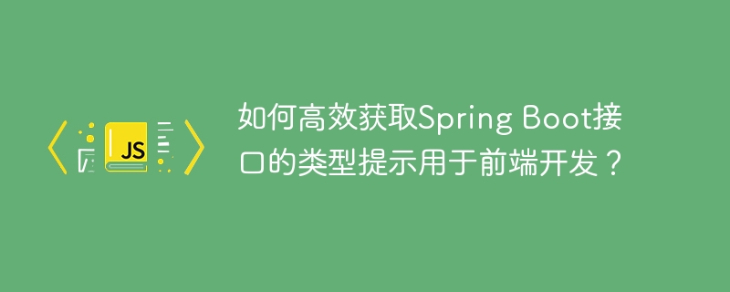 如何高效获取spring boot接口的类型提示用于前端开发？