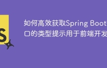 如何高效获取Spring Boot接口的类型提示用于前端开发?