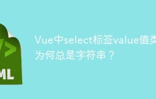 Vue中select标签value值类型为何总是字符串？