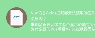 Vue项目Axios拦截器无法获取响应头token信息是什么原因？
或
为什么我的Vue项目Axios拦截器无法获取浏览器开发者工具中显示的响应头token？