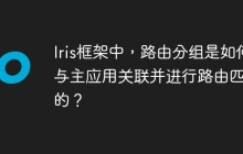 Iris框架中，路由分组是如何与主应用关联并进行路由匹配的？