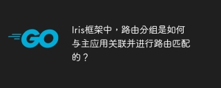 Iris框架中，路由分组是如何与主应用关联并进行路由匹配的？