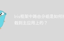 Iris框架中路由分组是如何挂载到主应用上的？