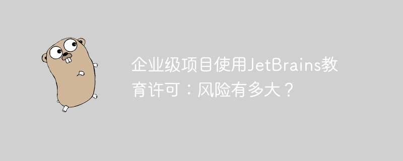 企业级项目使用jetbrains教育许可：风险有多大？
