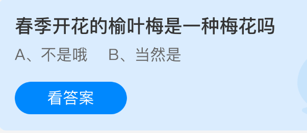 春季开花的榆叶梅是一种梅花吗