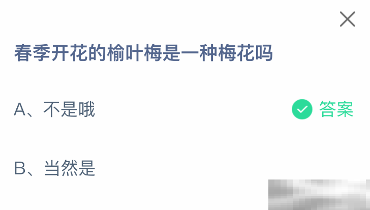 春季开花的榆叶梅是一种梅花吗