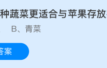 以下哪种蔬菜更适合与苹果存放在一起