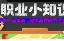 以下哪一项是浙江省级非物质文化遗产