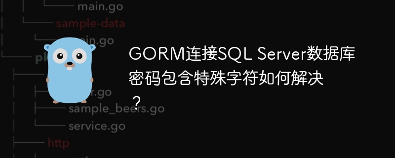 GORM连接SQL Server数据库密码包含特殊字符如何解决?