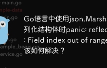 Go语言中使用json.Marshal序列化结构体时panic: reflect: Field index out of range该如何解决？