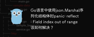Go语言中使用json.Marshal序列化结构体时panic: reflect: Field index out of range该如何解决？
