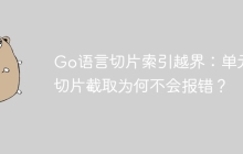 Go语言切片索引越界：单元素切片截取为何不会报错？