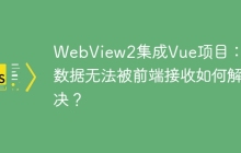WebView2集成Vue项目：C#数据无法被前端接收如何解决？