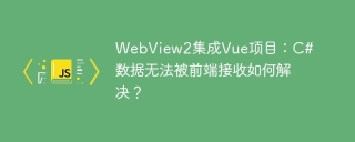 WebView2集成Vue项目：C#数据无法被前端接收如何解决？