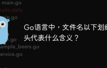 Go语言中，文件名以下划线开头代表什么含义？