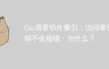 Go语言切片索引：访问索引1却不会报错，为什么？